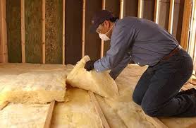 Best Basement Insulation  in Norton, VA